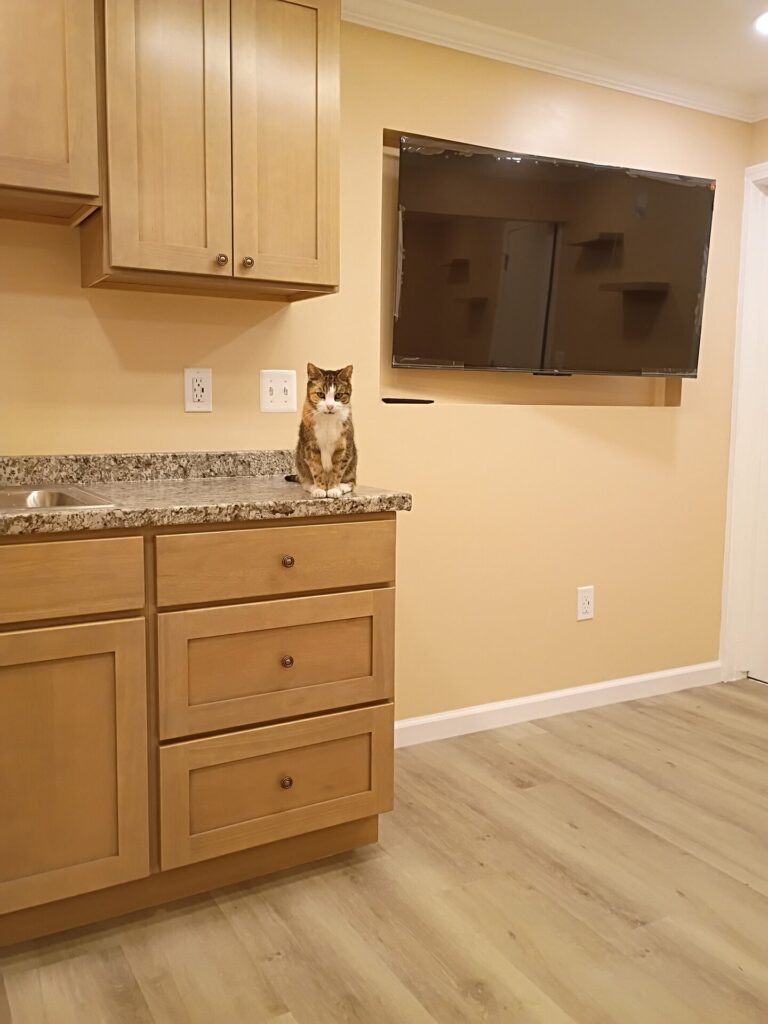 Cabinet, countertop and television wall details